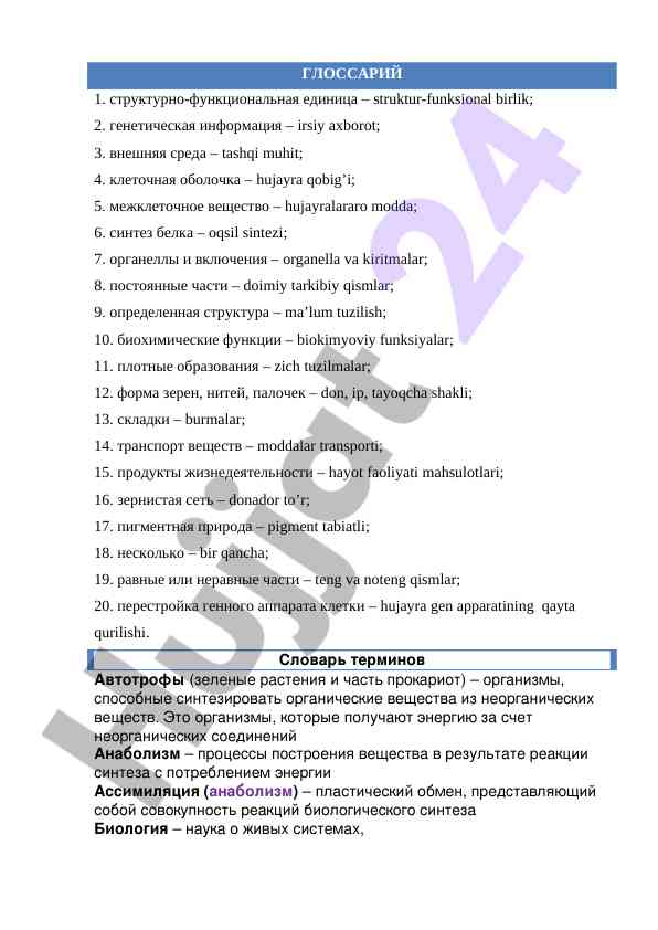 Biochemical functions and cell structure insights