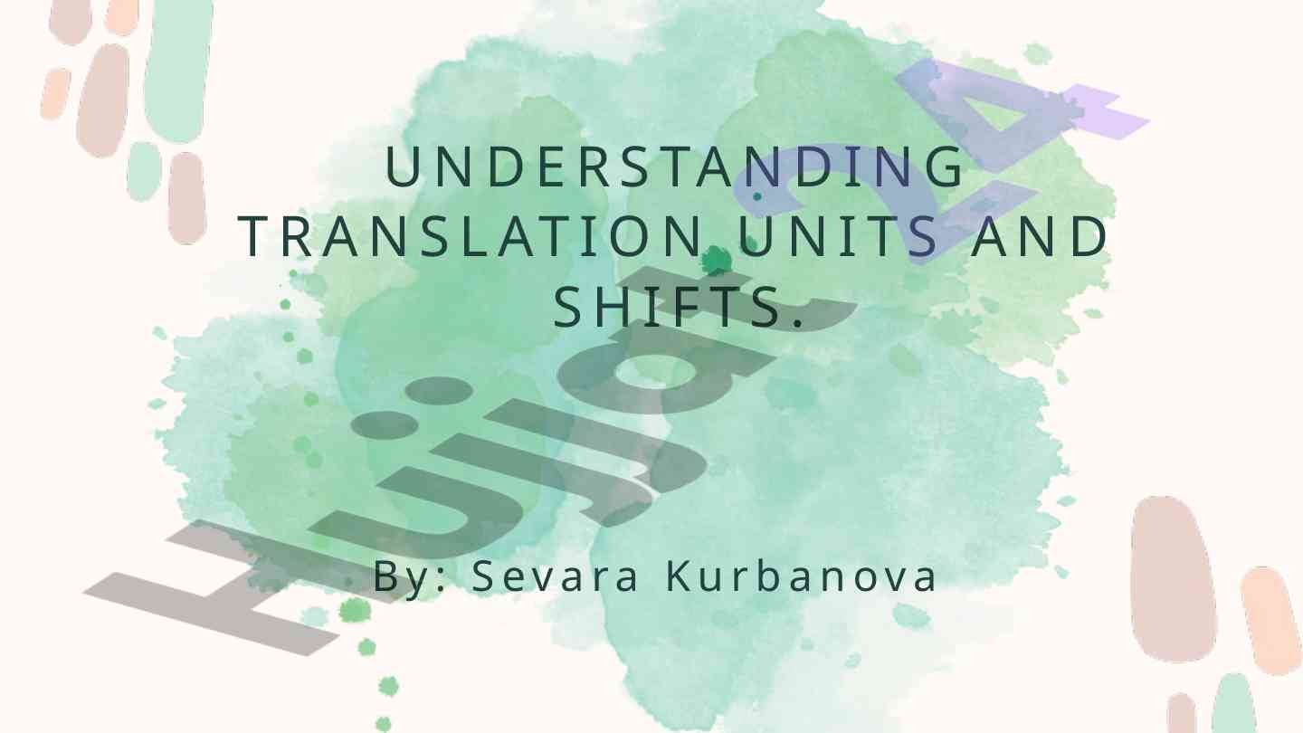 Understanding translation units and shifts in detail