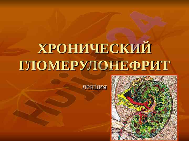 Хронический гломерулонефрит лекция