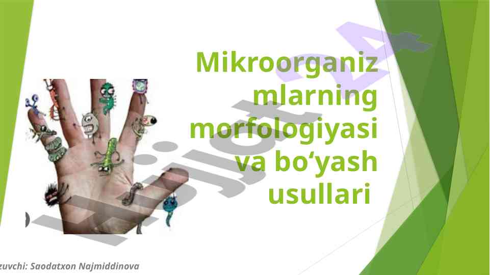 Mikroorganizmlarning morfologiyasi va bояш usullari