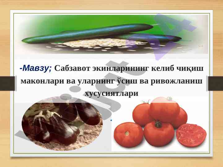 Sabzavot ekinlarining kelib chiqish mekonlari