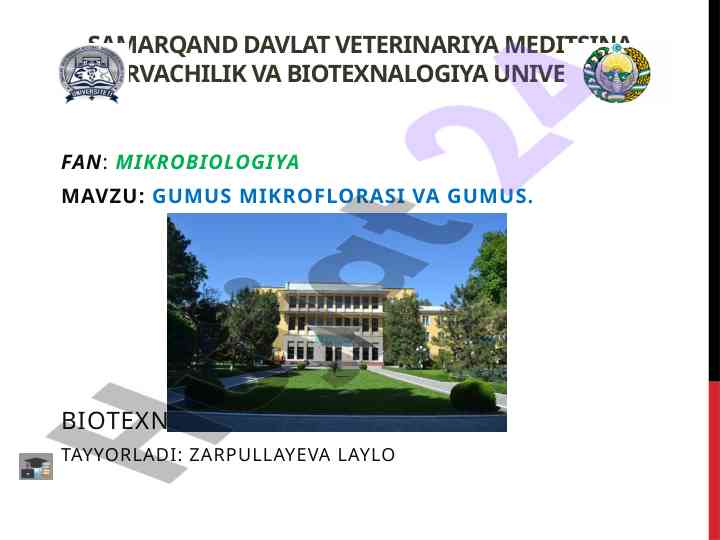 Gumus mikroflorasi va tuproq unumdorligi