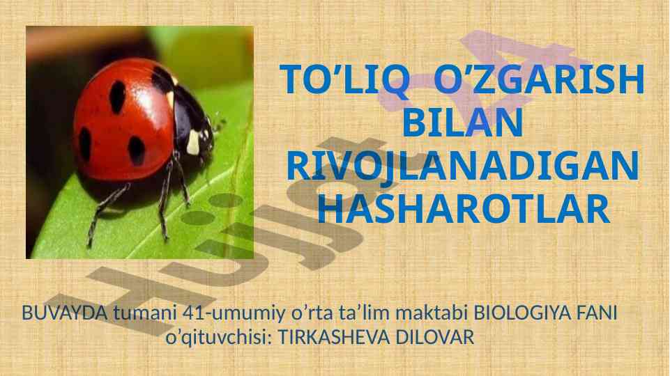 Hasharotlar bilan rivojlanish metodlari tahlili