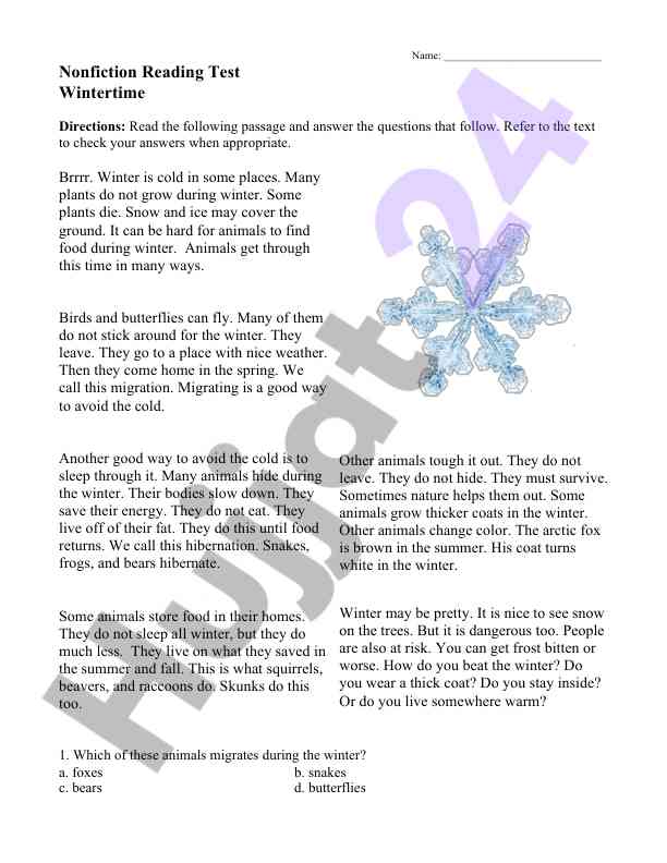 Wintertime nonfiction reading test directions