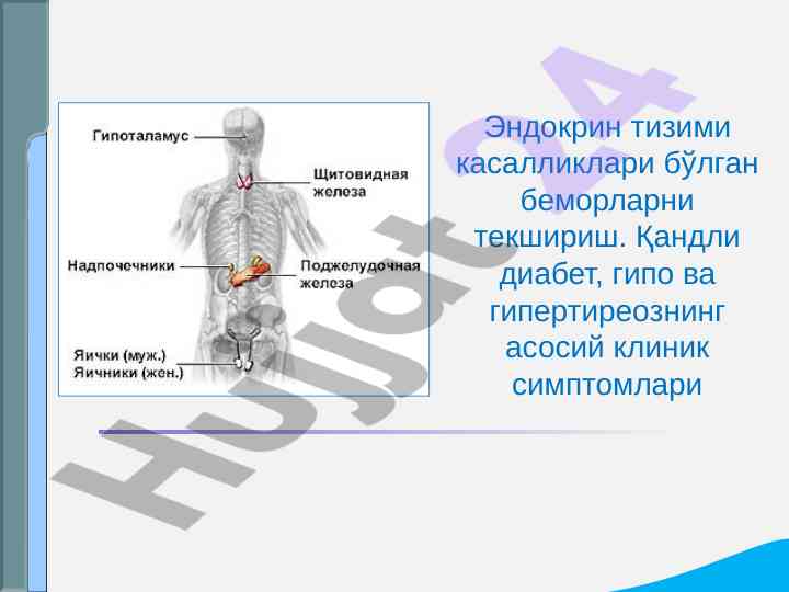 Эндокрин тизими касалликлари бўйича текшириш усуллари