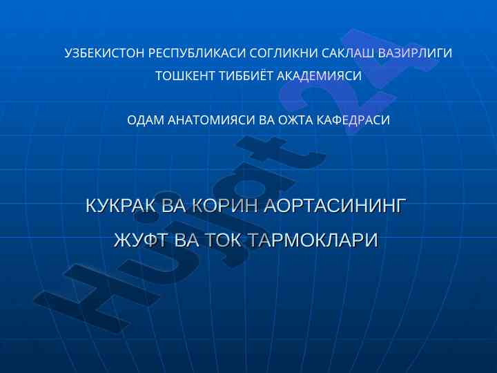 Kukrak va korin aortasining tomirlari