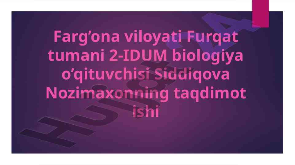 Yirtqich sutimizuvchilar turkumi taqdimoti