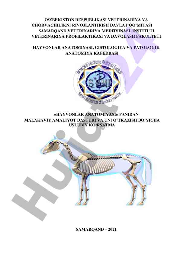 Hayvonlar anatomiyasi malakaviy amaliyot dasturi