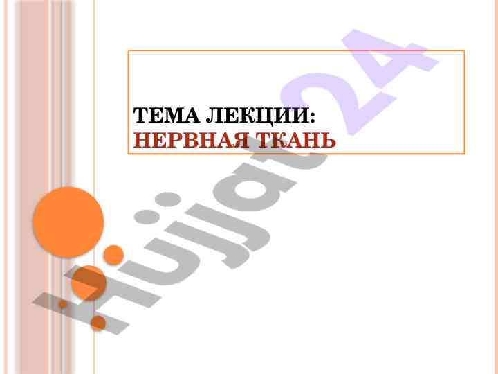 Нервная ткань и её структурные особенности