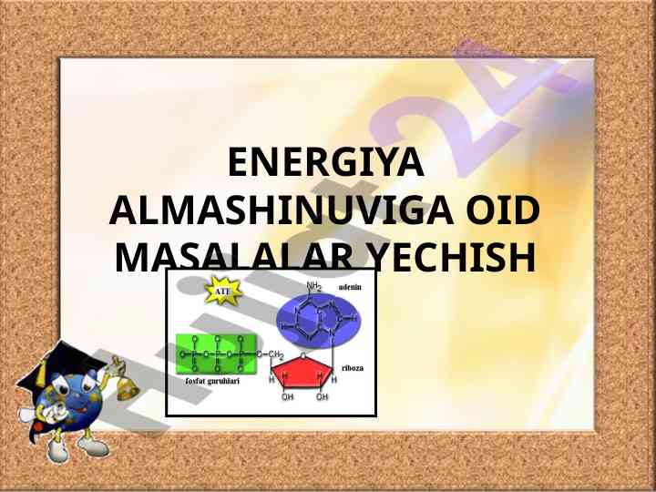 Energiya almashinuvi masalalari va bosqichlari