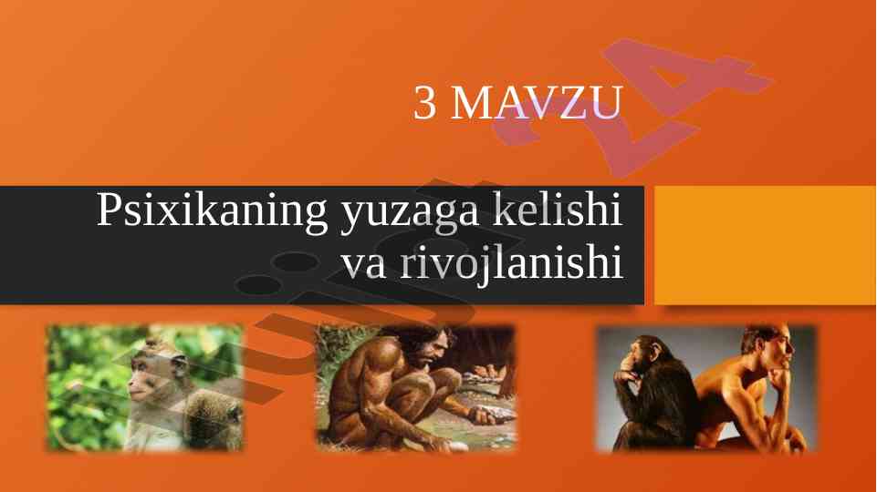 Psixikaning yuzaga kelishi va rivojlanishi