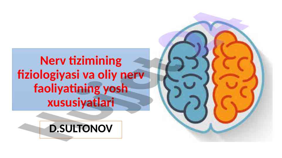 Nerv tizimining fiziologiyasi va oliy nerv faoliyati