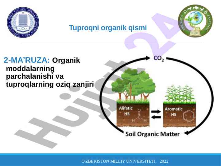 Tuproqni organik qismi va oziq zanjiri ma'ruzasi