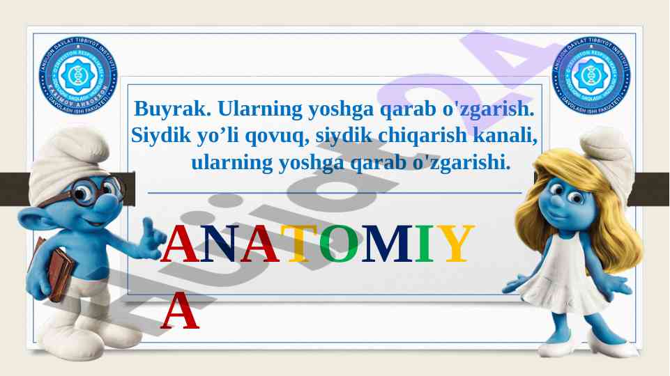 Buyrak anatomiyasi va siydik yo'li o'zgarishlari
