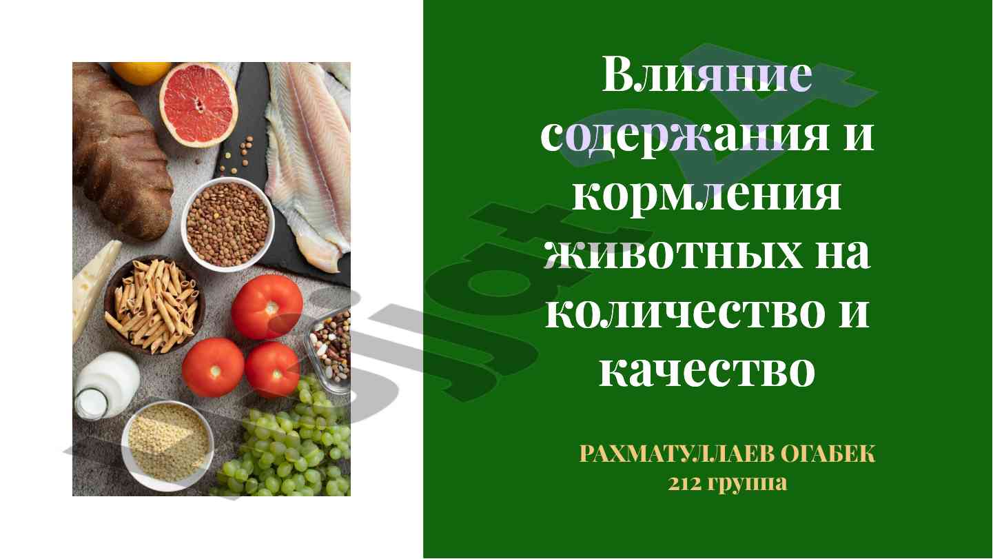 Влияние ухода и кормления на животных
