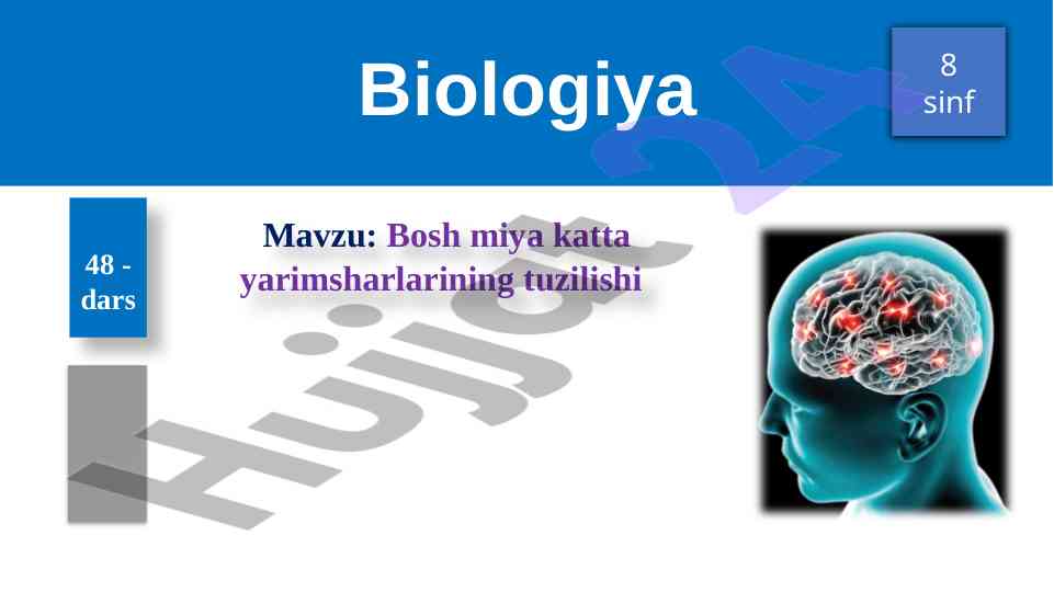 Bosh miya katta yarimsharining tuzilishi 8 sinf