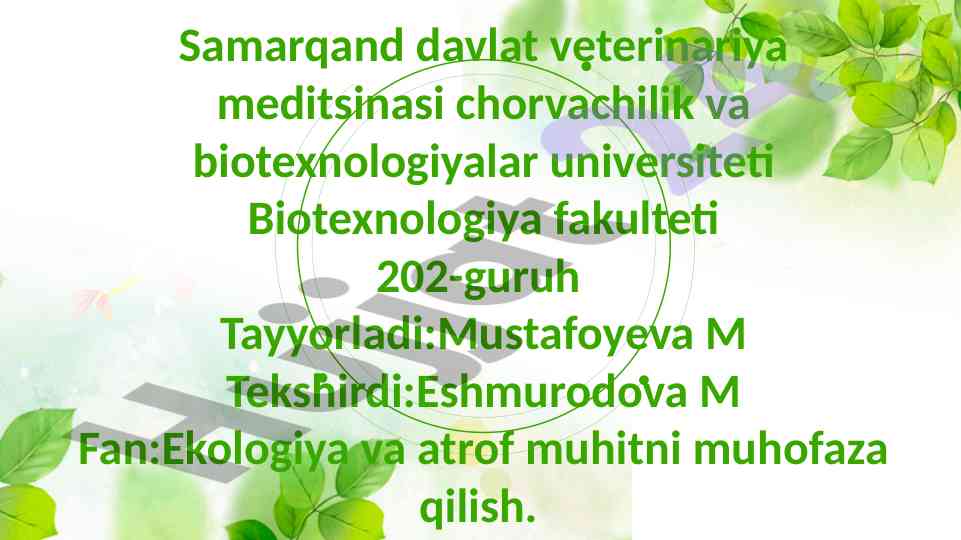 Orol va orolboʻyi ekologik muammolari va hamkorlik