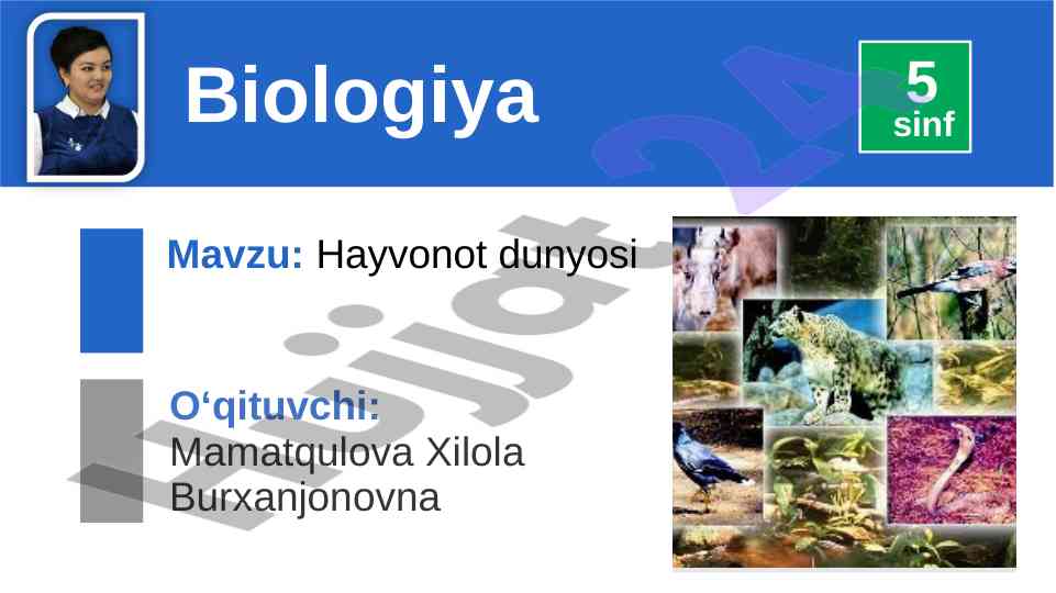 Hayvonot dunyosining o‘ziga xos xususiyatlari