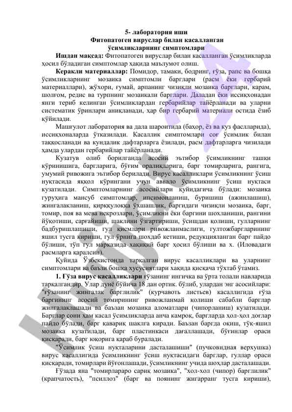Фитопатоген вируслар билан касалланган ўсимликлар симптомлари