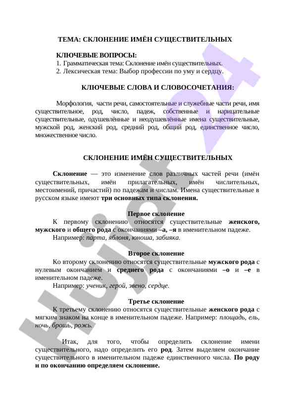 Склонение имен существительных в русском языке