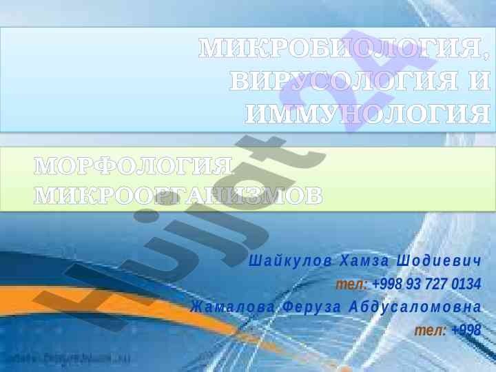 Критерии оценки практических навыков в микробиологии