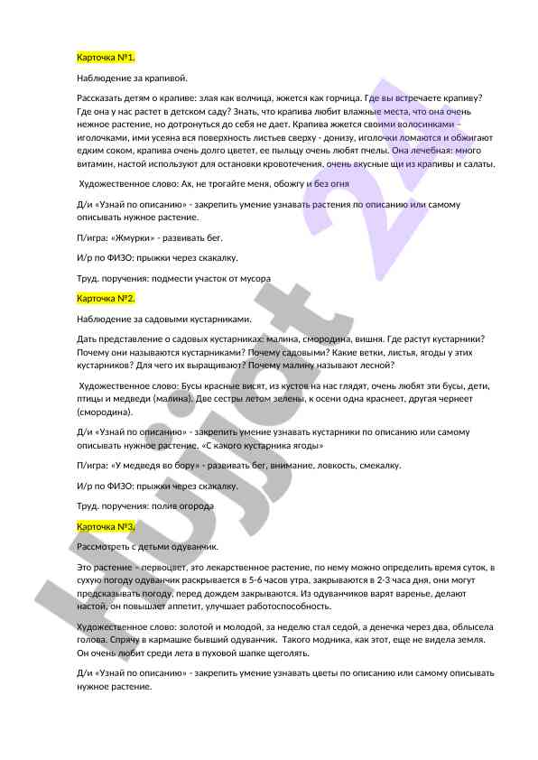 Наблюдение за крапивой и садовыми кустарниками