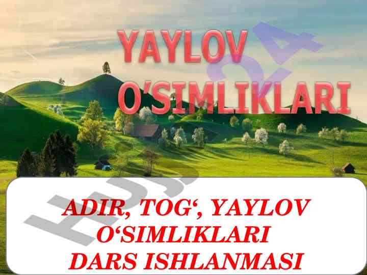 Adir tog‘ yaylov o‘simliklari dars ishlanmasi
