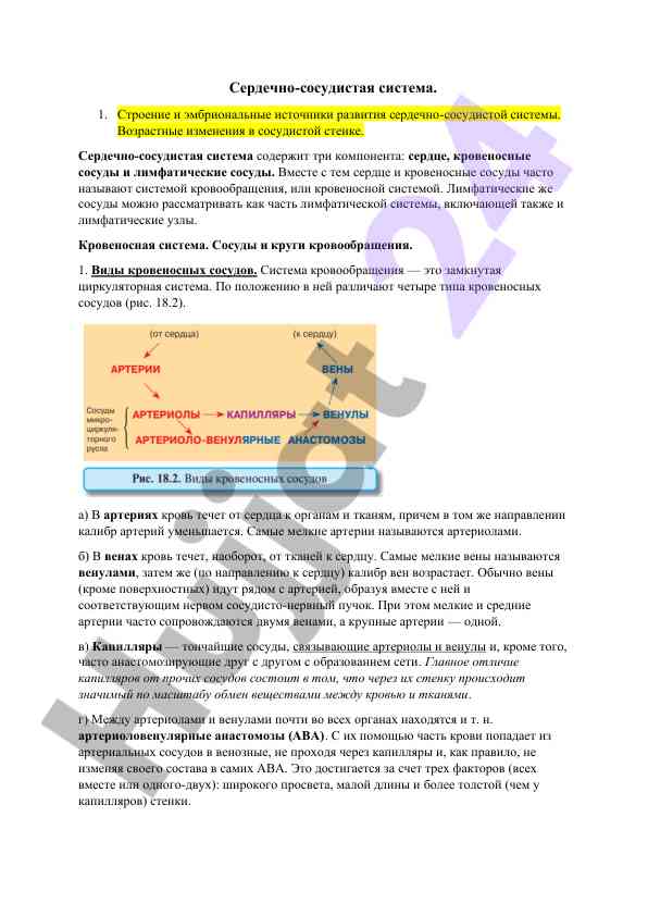 Строение и эмбриональные источники сердечно-сосудистой системы