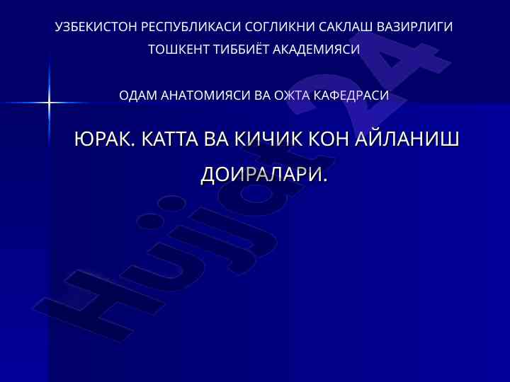 Yurak katta va kichik kon aylanish doiralari