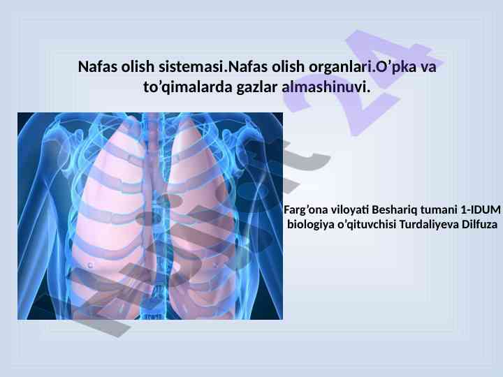 Nafas olish tizimasi va gazlar almashinuvi