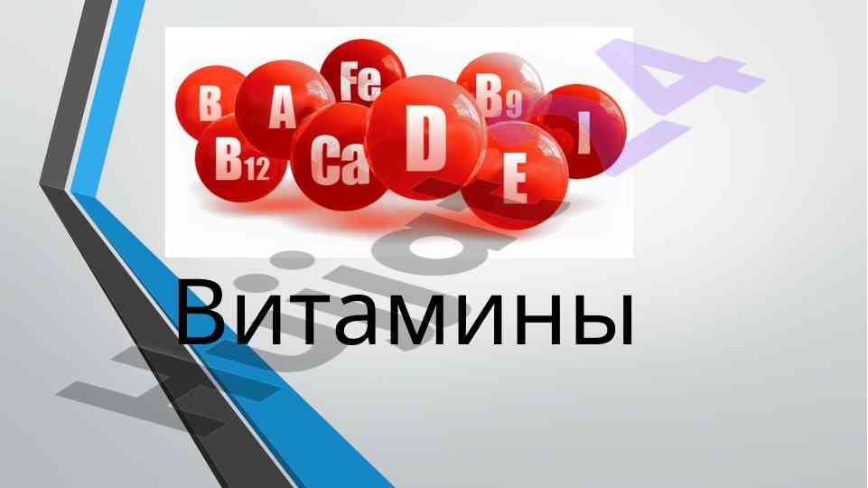 Витамины и их роль в организме