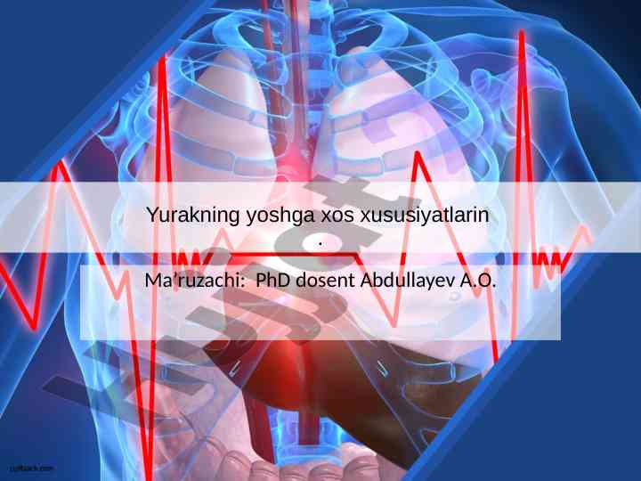 Yurakning yoshga xos xususiyatlari