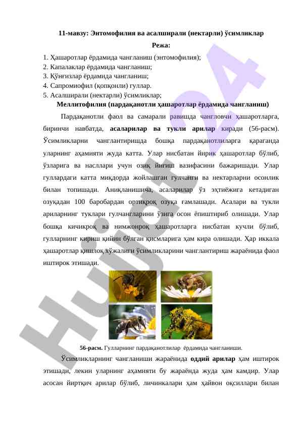 Энтомофилия ва асалширали ўсимликлар