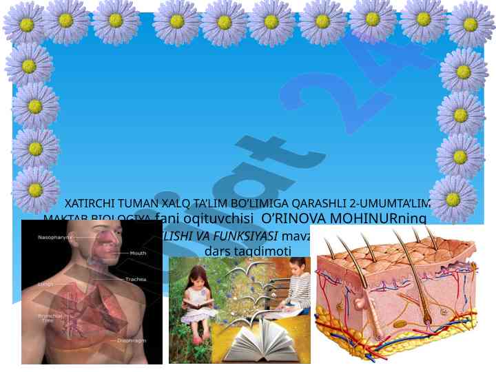Terining tuzilishi va funktsiyalari bo'yicha ochiq dars
