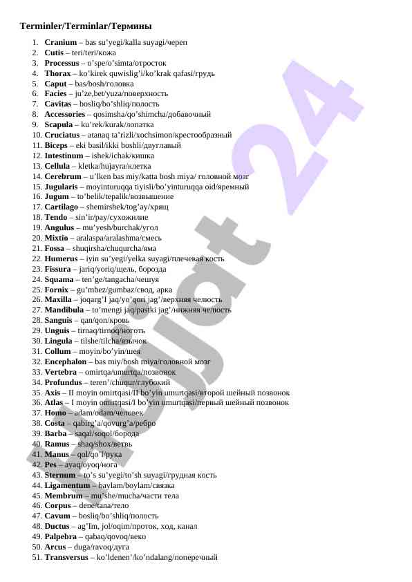 Anatomy terms and their translations in uzbek