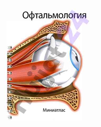 Офтальмология миниатлас офтальмология под редакцией