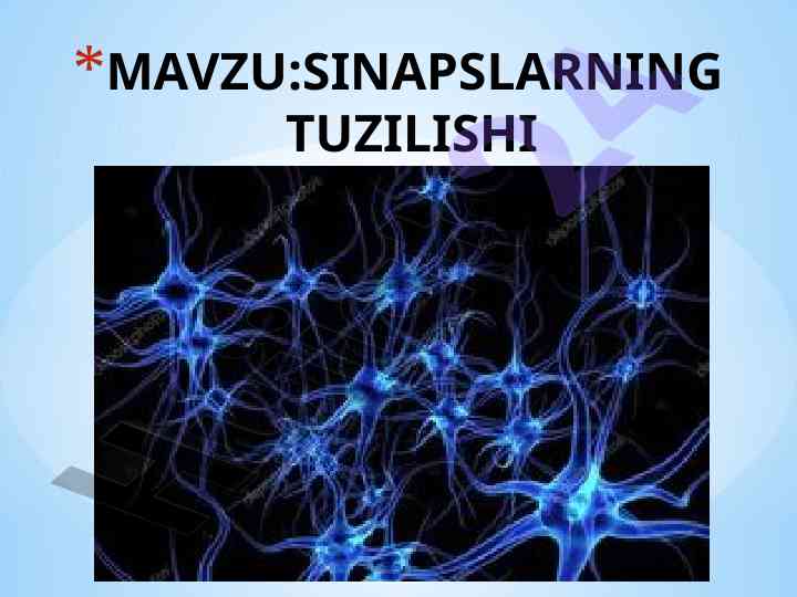 Sinapslarning tuzilishi va tasniflanishi