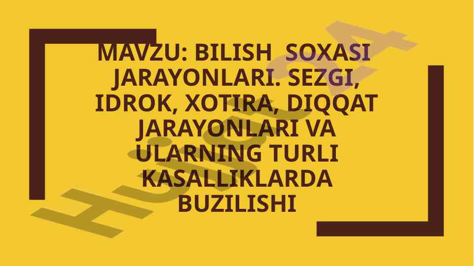 Bilish sohasi jarayonlari va ularning kasalliklari