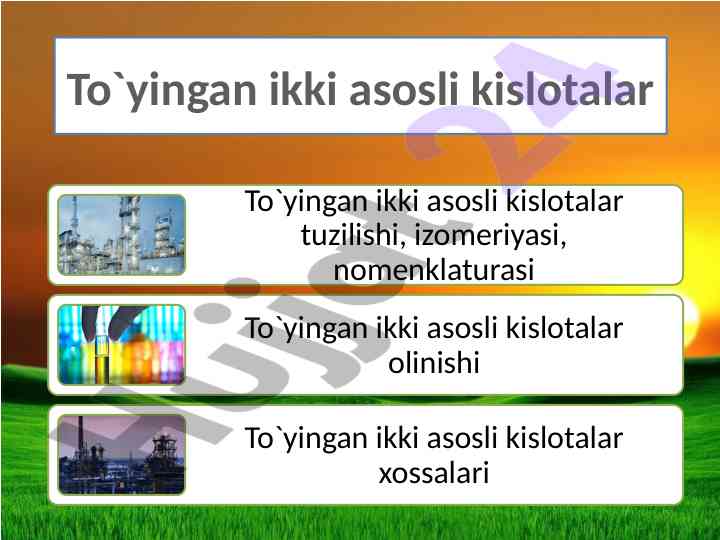 Ikkita asosli kislotalar: xossalari va amaniyatlari