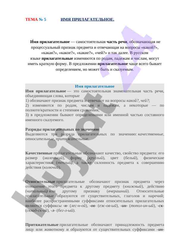 Имя прилагательное в русском языке