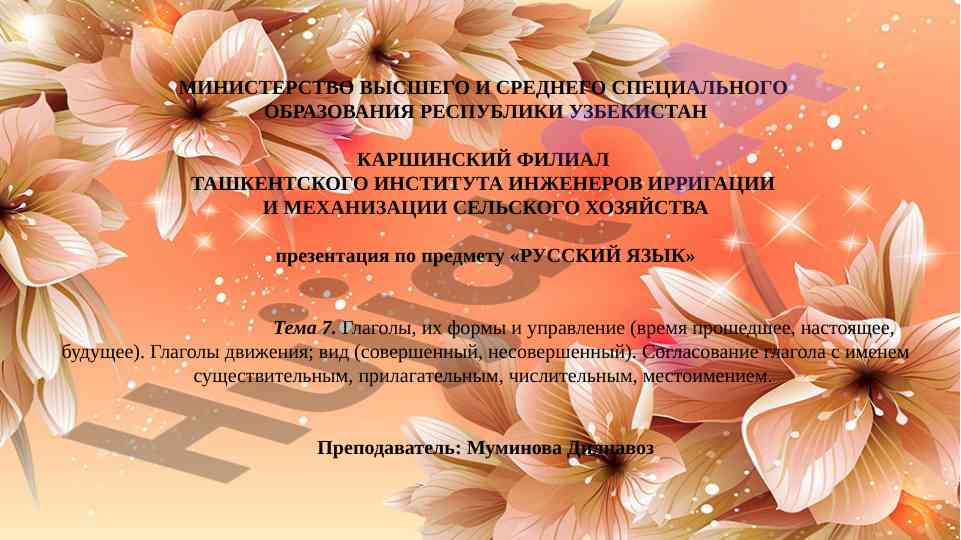 Глаголы и их формы в русском языке
