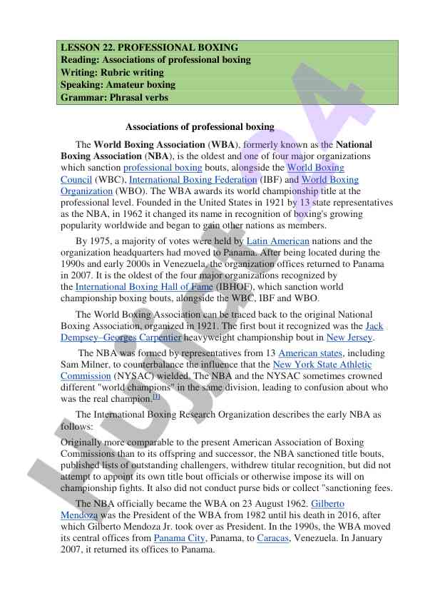Professional boxing associations overview
