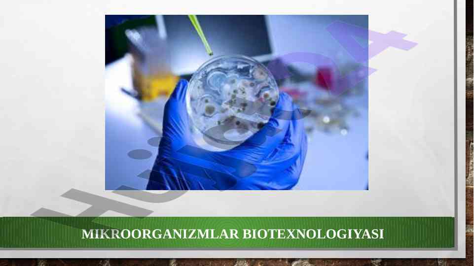Mikroorganizmlar biotexnologiyasi va nanomateriallar