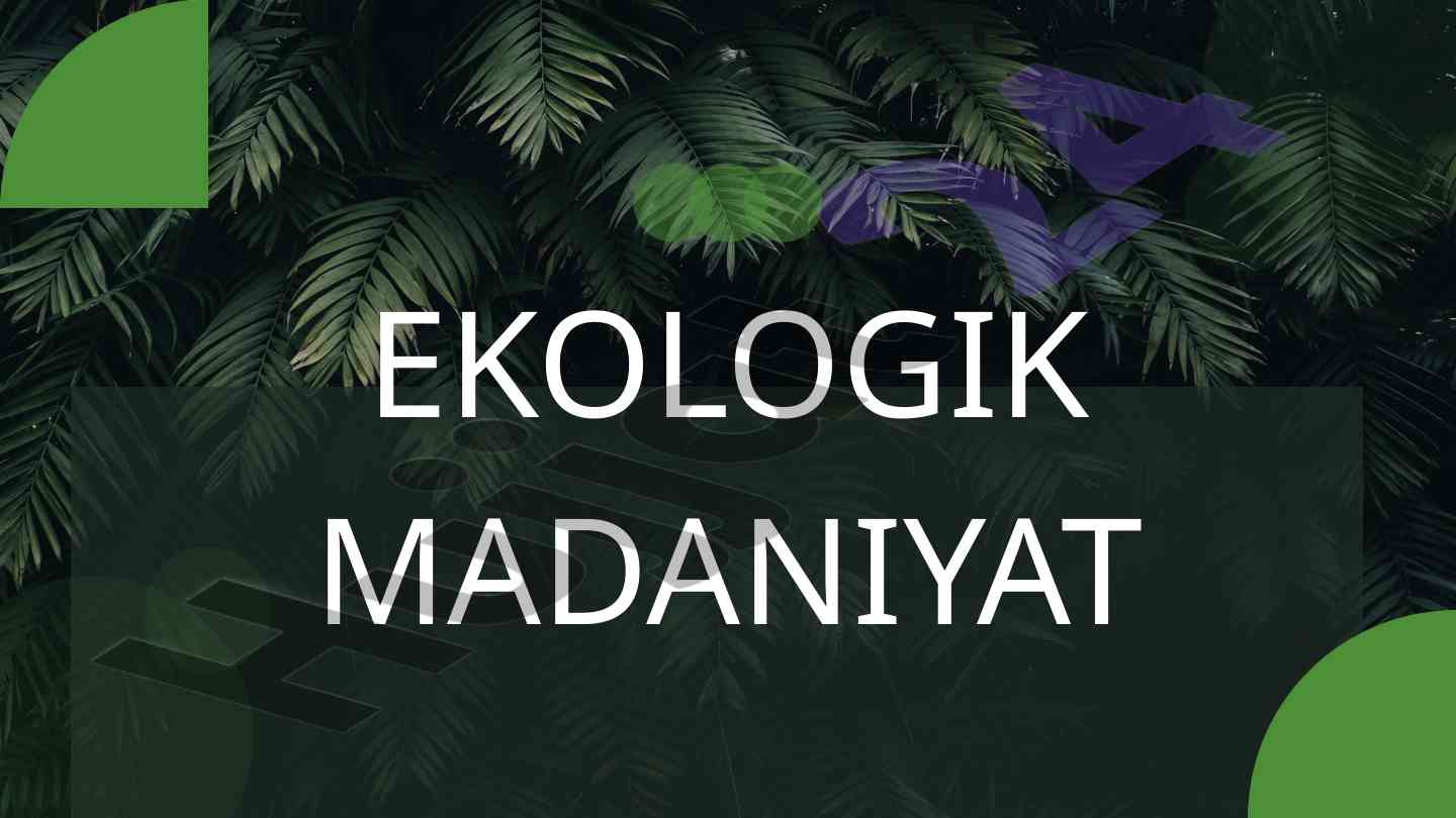 Ekologik madaniyat va atrof-muhit muammolari
