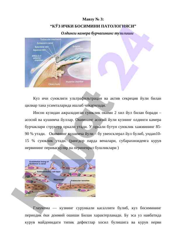 Кўз ички босимини патологияси тўғрисида илмий мақола