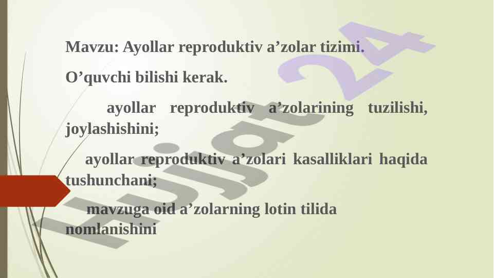Ayollar reproduktiv a’zolar tizimi anatomiyasi