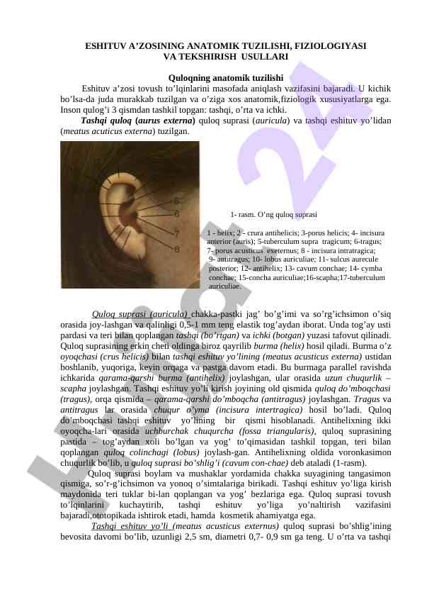 Eshituv a’zosining anatomik tuzilishi va fiziologiyasi