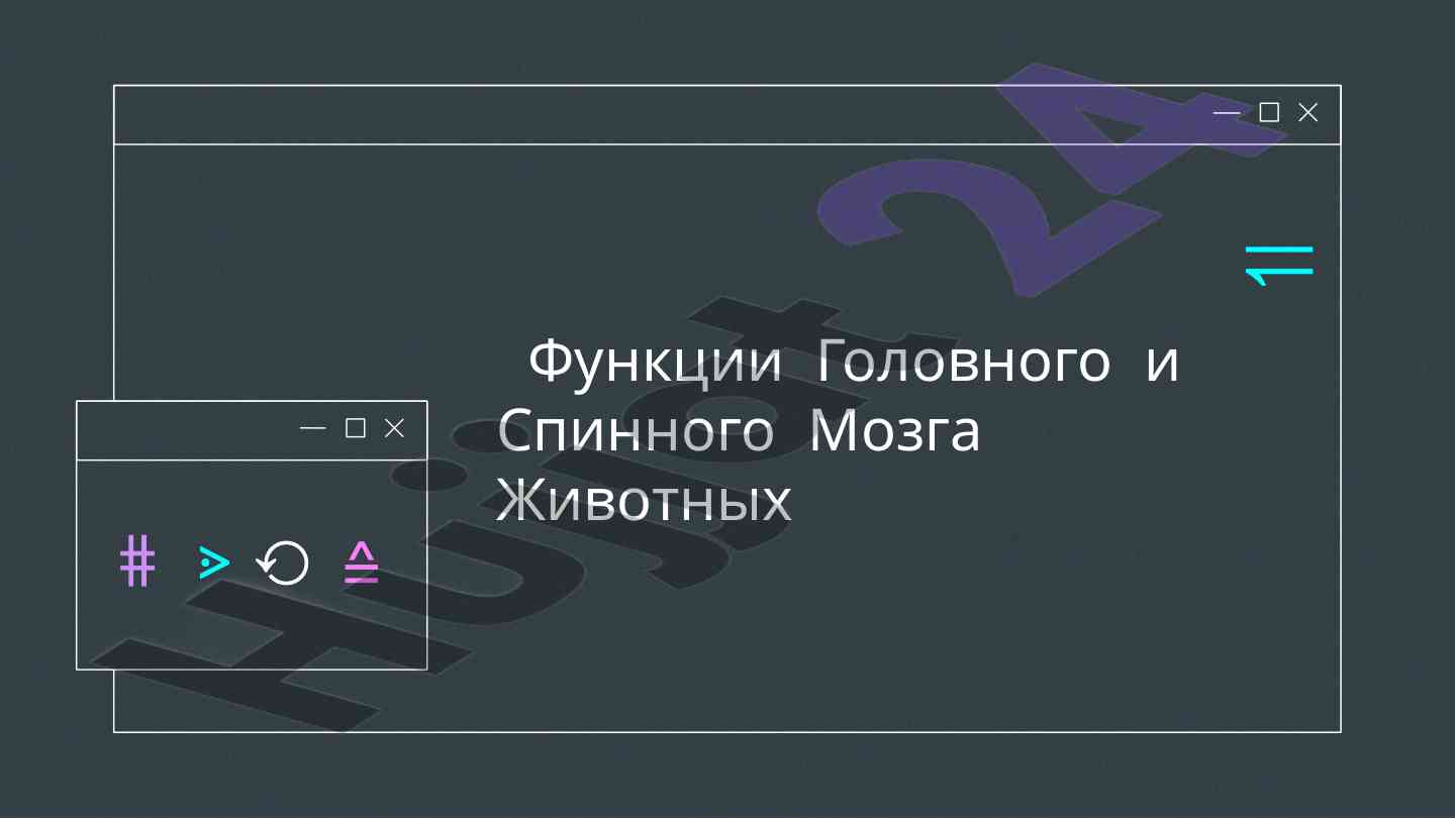 Функции головного и спинного мозга животных