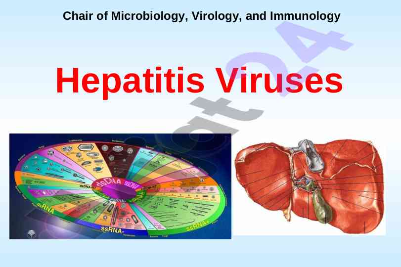 Characteristics of human hepatitis viruses overview