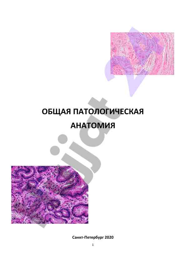 Obshchaya patologicheskaya anatomya i nekroz